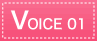 VOICE01